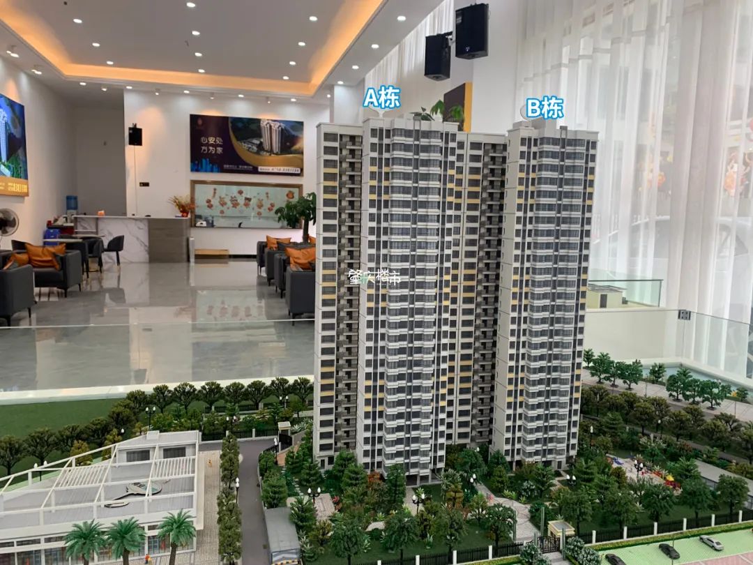 南岸房子值得买么,南岸房子能买吗