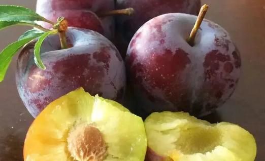 李子不能多吃是真的吗,李子不能多吃是吗