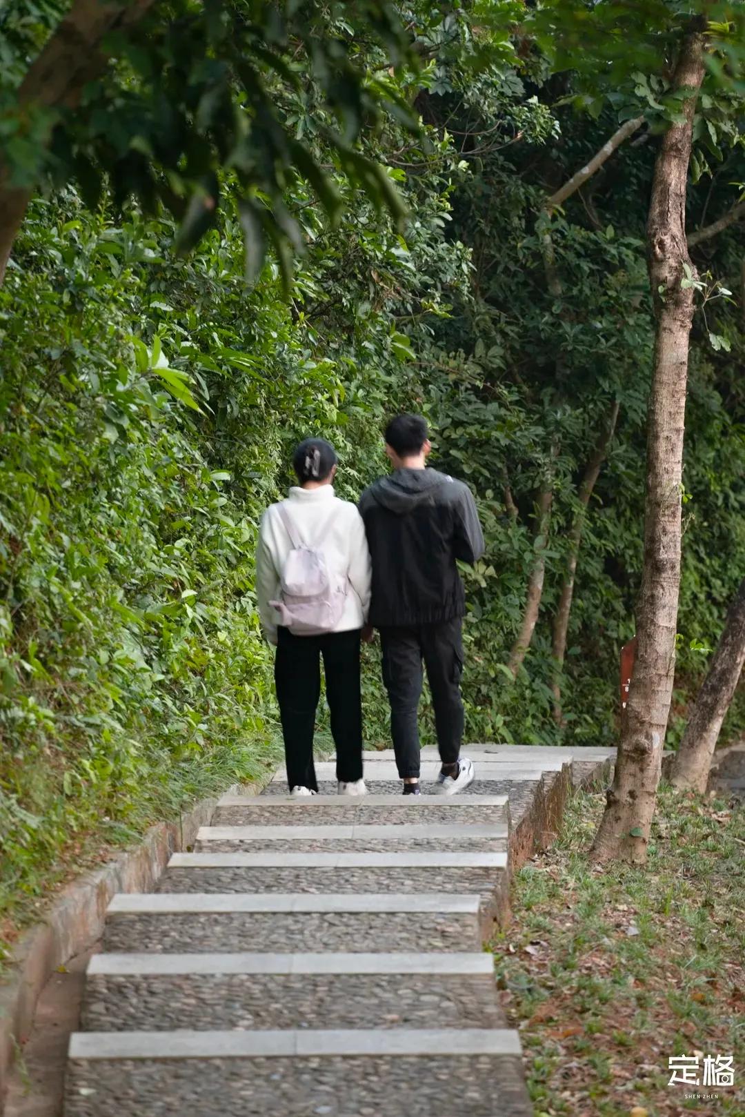 深圳最值得爬的景点,深圳十大最值得爬的山