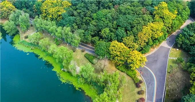 10条南京最美步道,南京步道