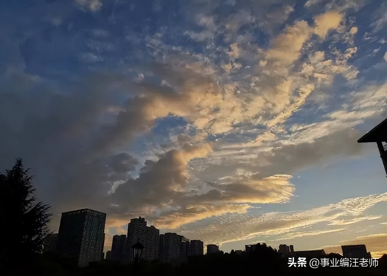 乡镇公务员够养家吗,乡镇公务员何去何从