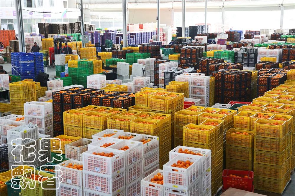 从0.6元到4元,优质优价能否引领农民种好果?