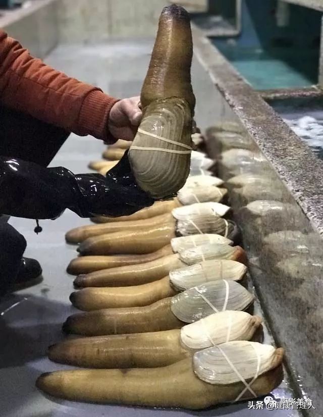 海鲜贝类品种大全及名字,22种海鲜贝类做法大全