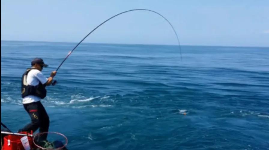 高档鱼竿太贵,高端鱼竿低价格