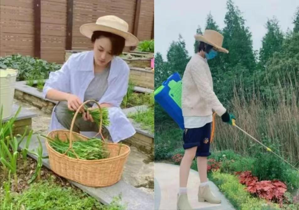 张馨予没嫁给李晨如今过得幸福吗,情路坎坷婚后难