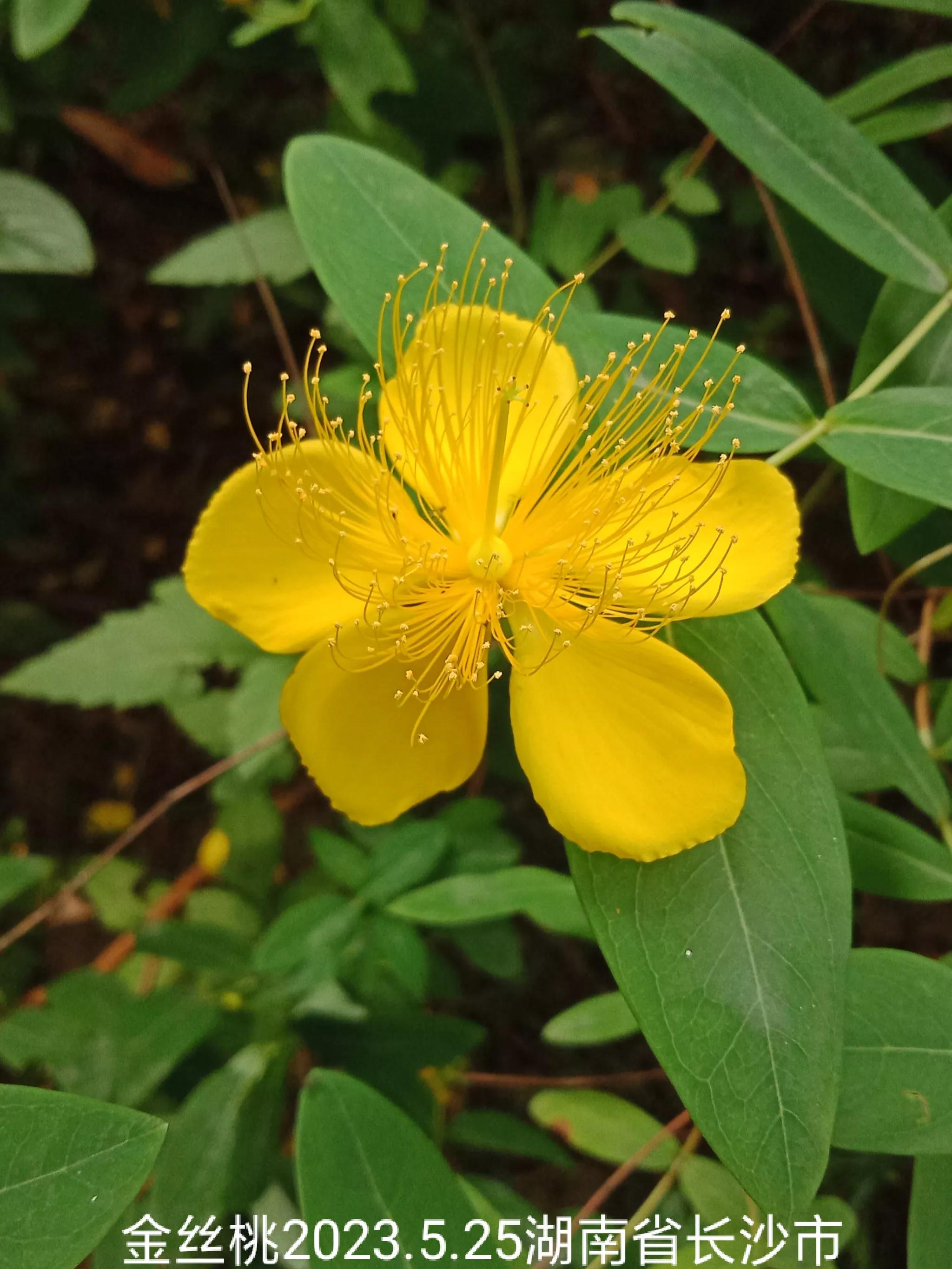 微信群忘保存找不到怎么办,怎么保存微信群里面的人