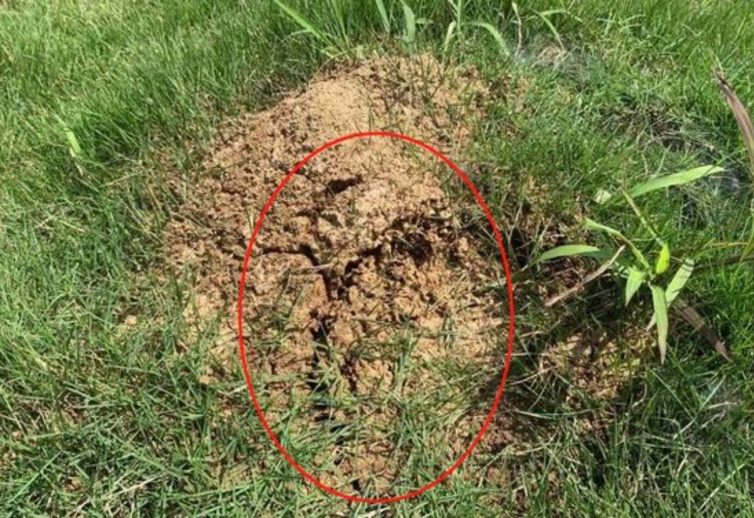 男子去世后给亲姐“托梦”，央视报道的超自然真实案例，纪录片