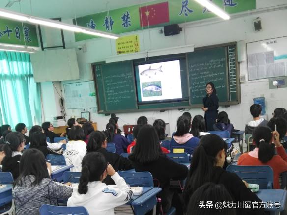 代码009，与未来快乐邂逅丨@中考学子，这里是绵阳中学实验学校