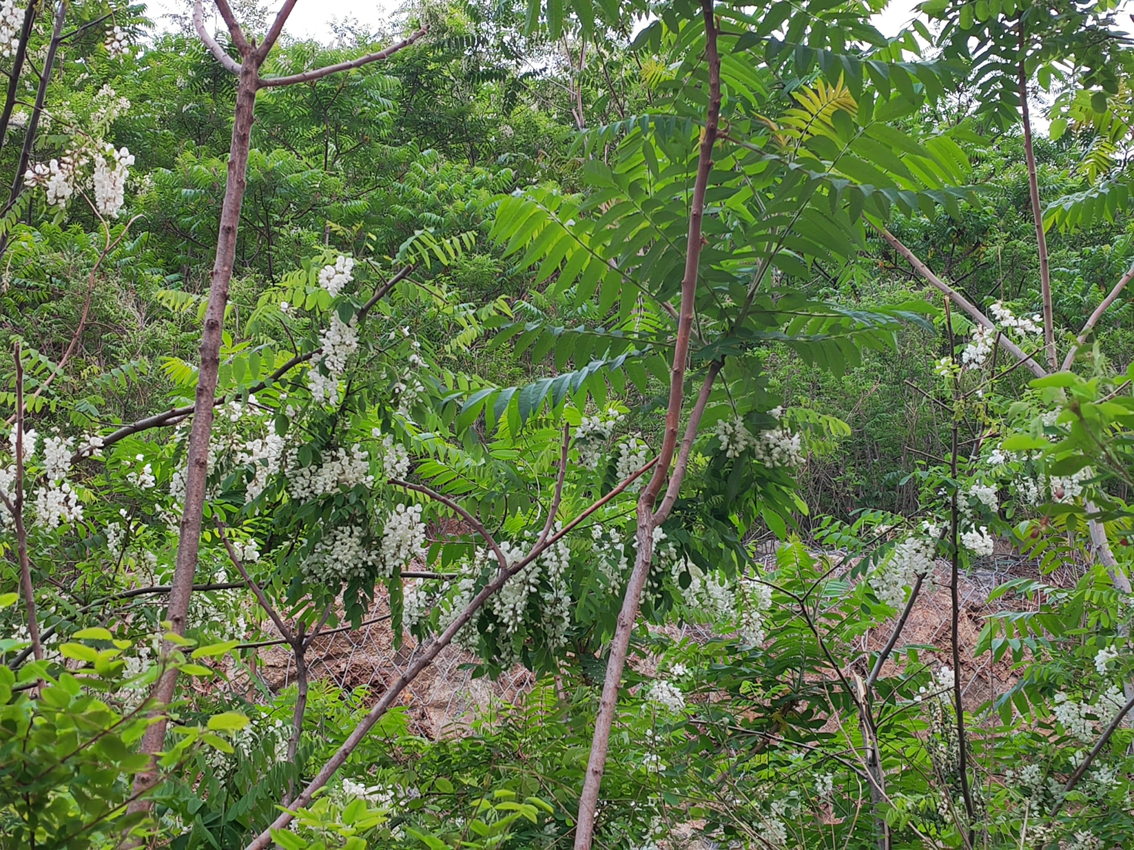 求写人生很辛苦的的现代七言绝句,打工者励志的七言律诗