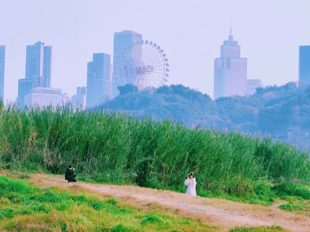 关于春天的古诗1000首,春天桃花古诗大全100首