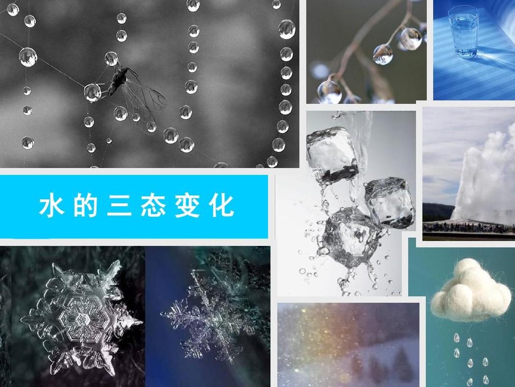 论法的精神哪个译本最好,论法的精神全文在线阅读