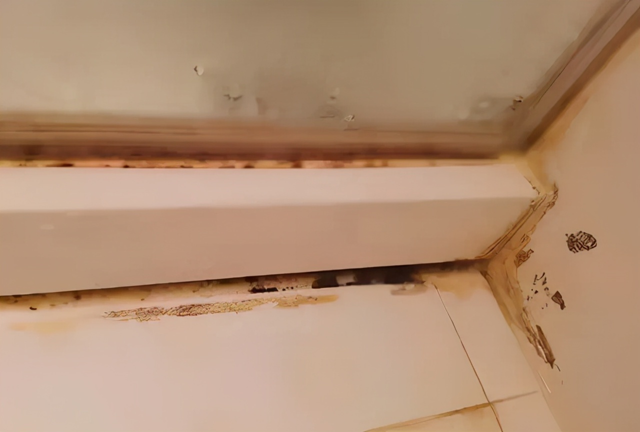 这些家居鸡肋用品都舍不得扔掉,看似不起眼的家居用品实则是隐藏