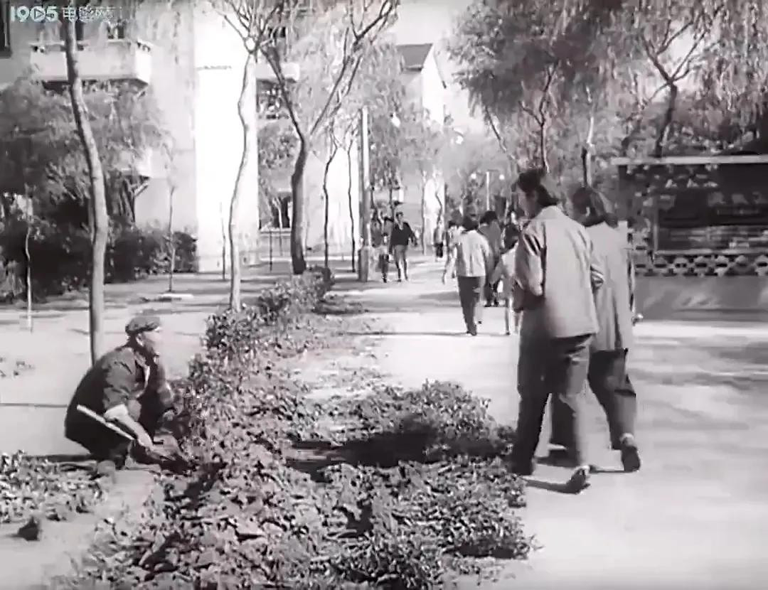 老电影海燕,老电影两个小足球队1956插曲