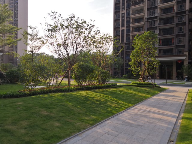 人到老年，别把老本攥得太紧，我每月给儿子2千6，有吃有喝享福了