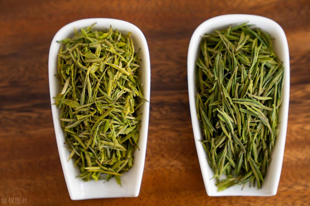 绿茶知识分享干货,绿茶知识解说