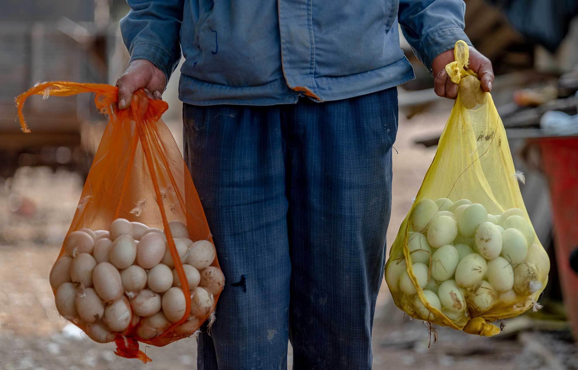 湛江海鸭蛋有什么好吃的,雷州半岛海鸭蛋