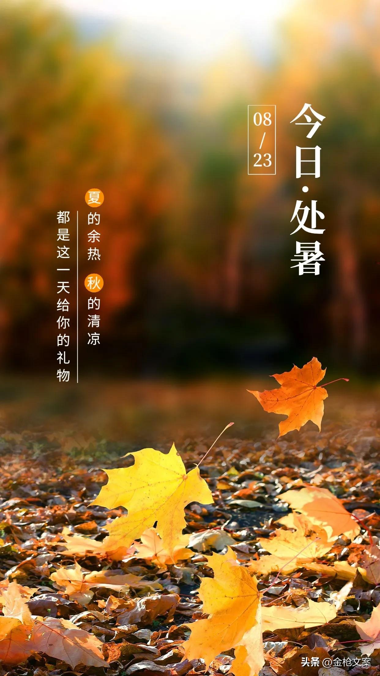 二十四节气处暑朋友圈,二十四节气处暑日记