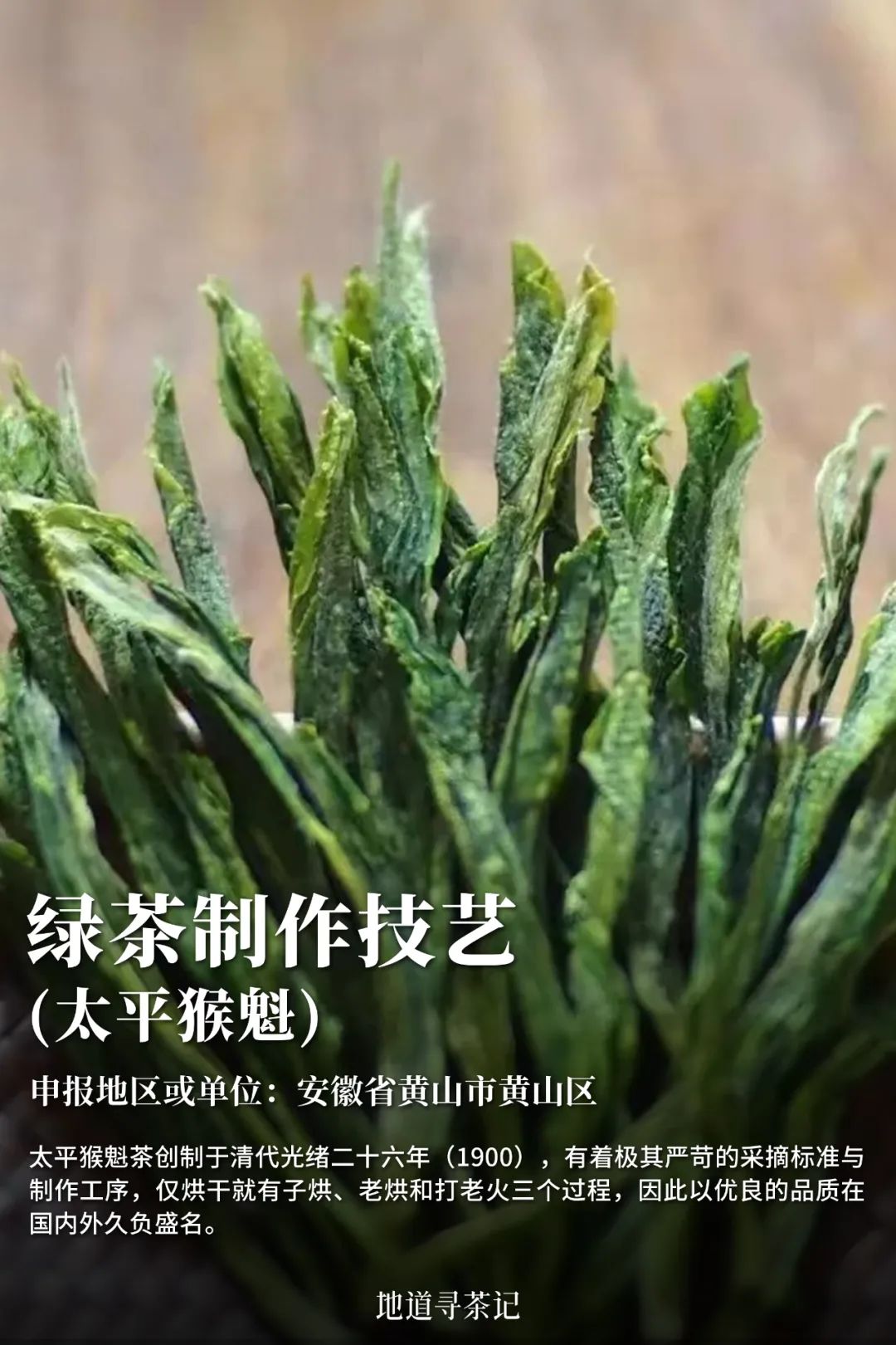 我国哪种传统艺术第一个入选非遗,中国非遗成功的有22项