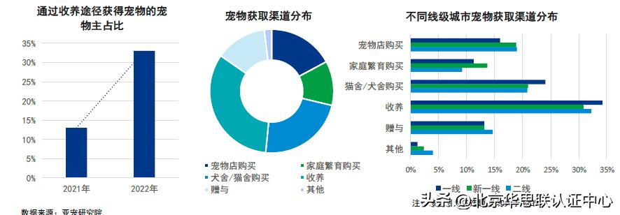 宠主消费能力如何,宠主的5个表现