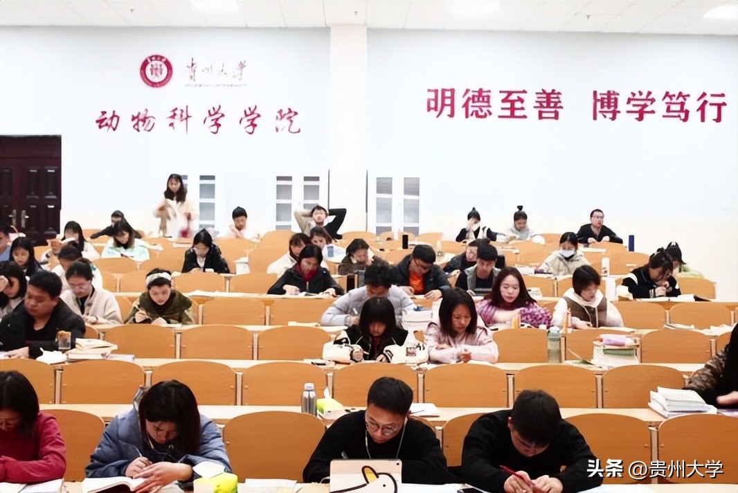 贵大这个学院,学生们的升学故事真精彩!