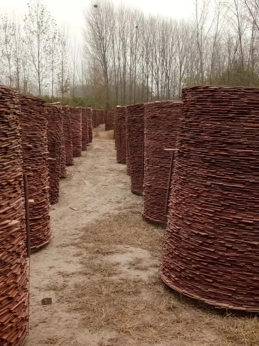 原阳县|话说夹堤儿（下）