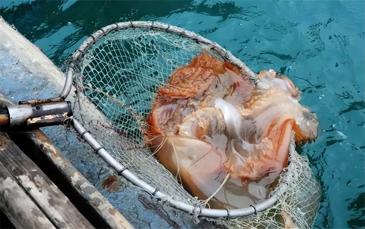 15种中国人能吃且爱吃，而外国人基本不吃的食物，优越感倍增