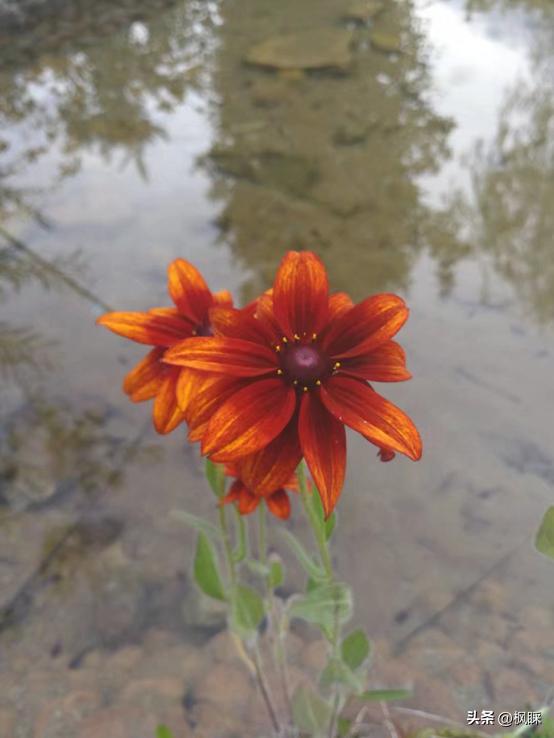 西安香格里拉消费价格,西安香格里拉在哪个区