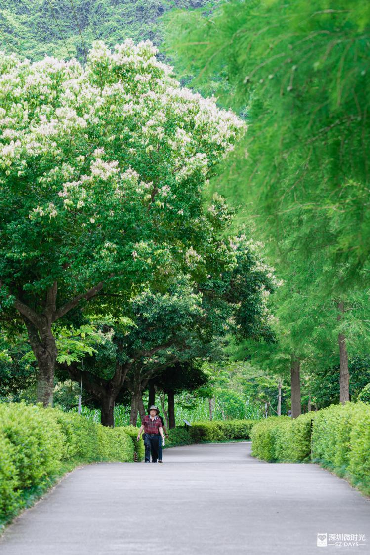 14号地铁有没有到坪山高铁站,坪山14号线转10号地铁图