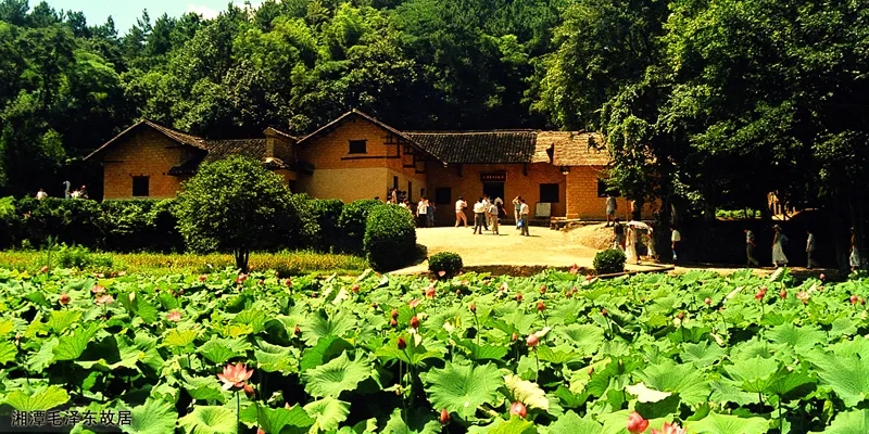 城市记忆之长沙篇,城市篇河南街