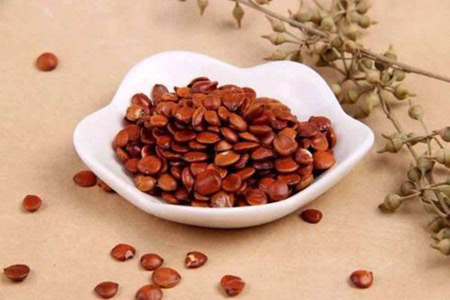 酸枣仁怎么吃治失眠才有效果,酸枣仁怎么吃治疗失眠效果好