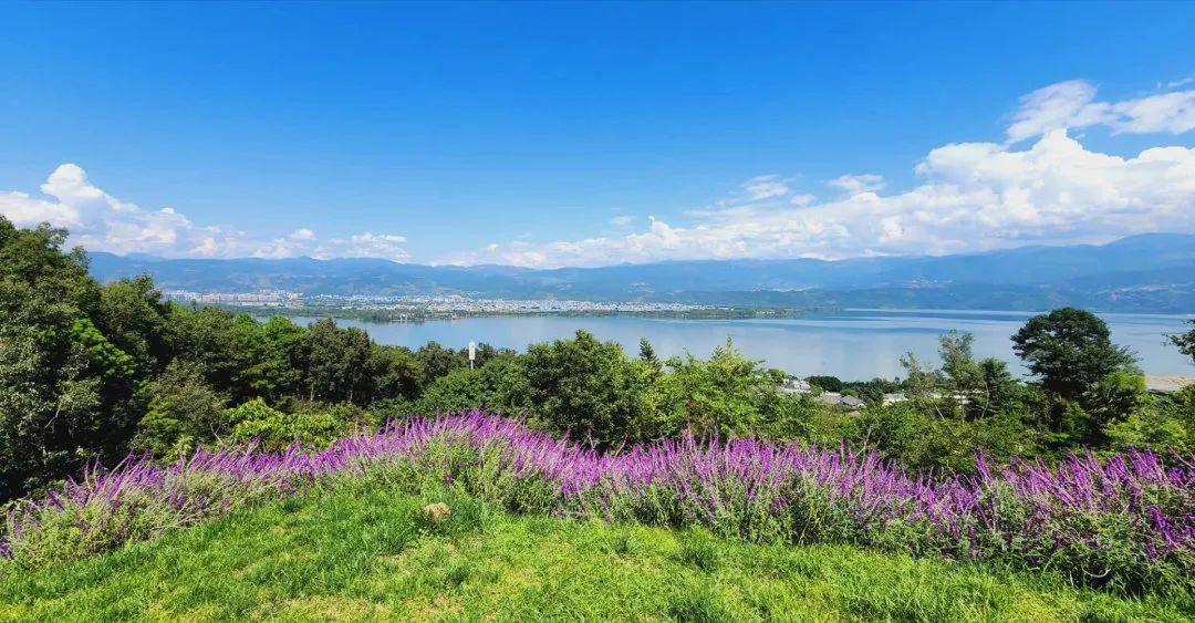 外地朋友来四川吃美食,外地朋友来四川吃苍蝇馆子