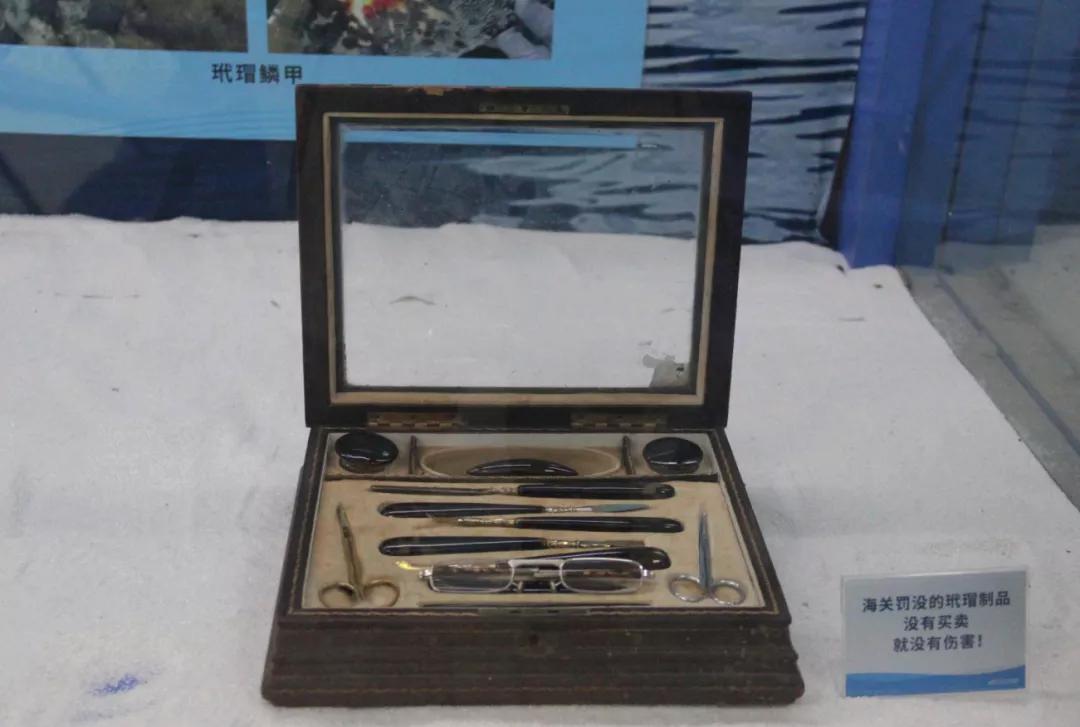 玳瑁稀有程度,玳瑁是唯一能消化玻璃的海龟