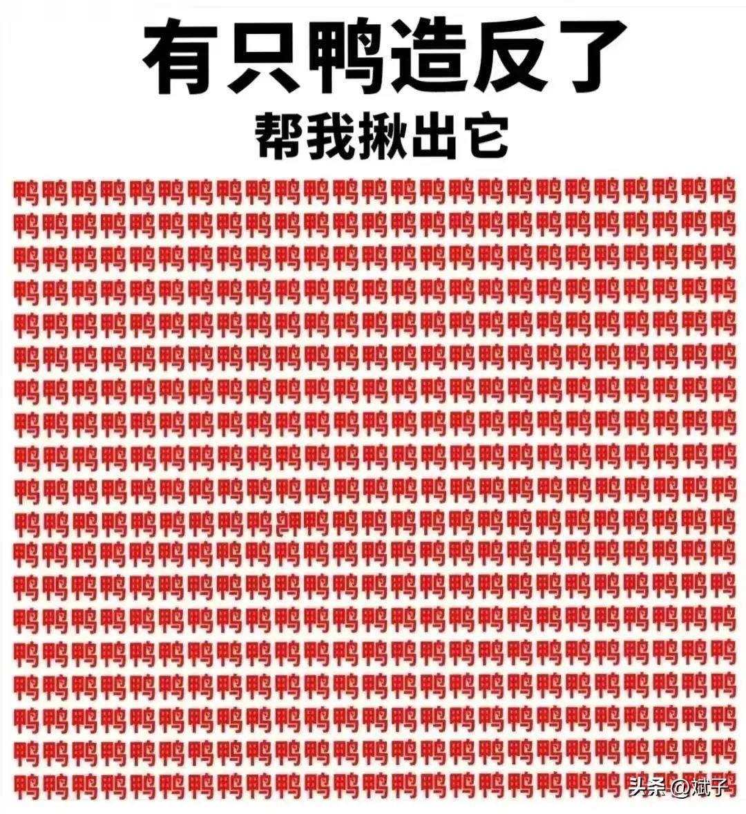 清朝最残忍的刑法,清朝酷刑五马分尸