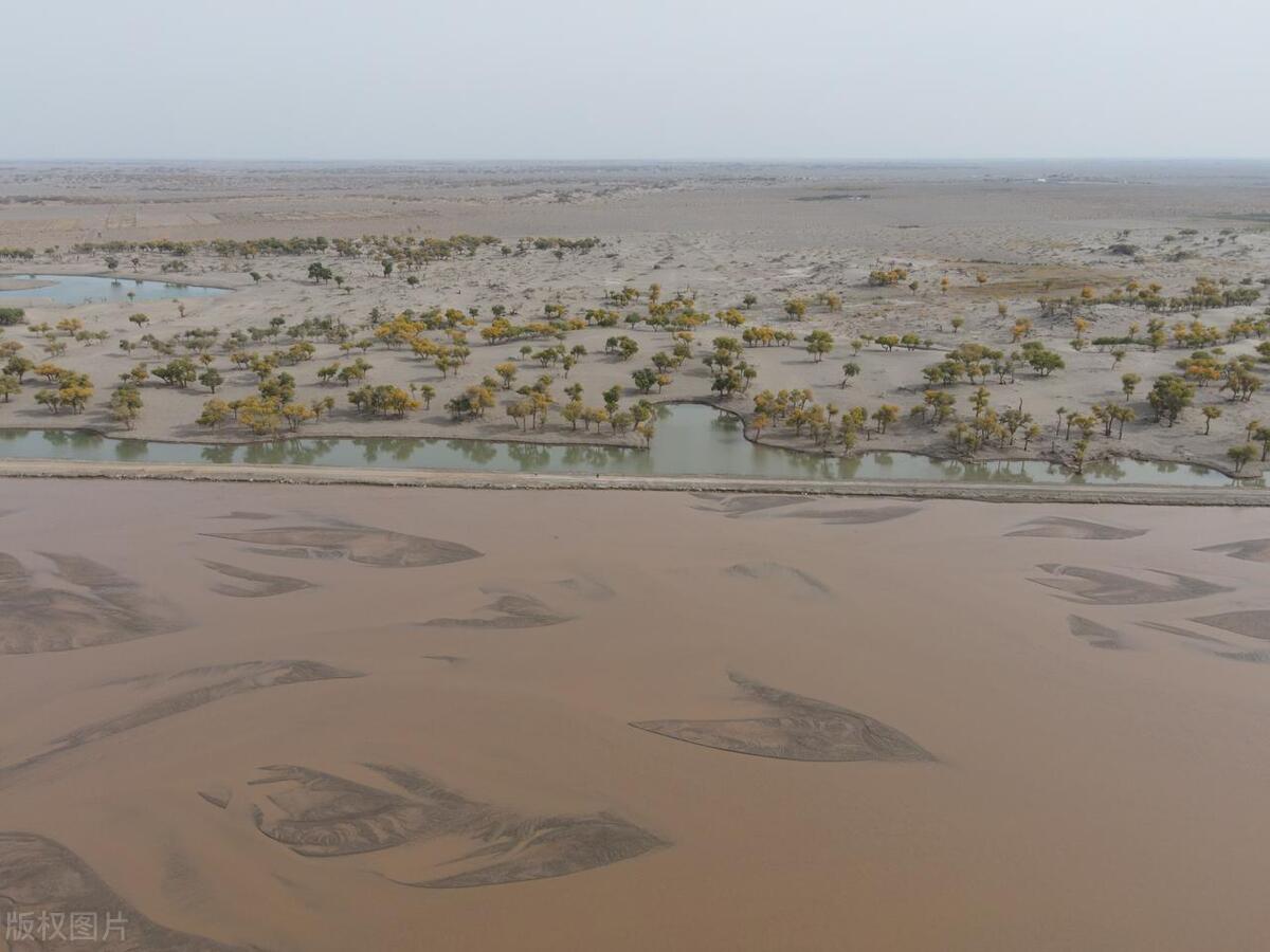 那些年,那些人和事(八)——篮球史上“绝无仅有”的平局