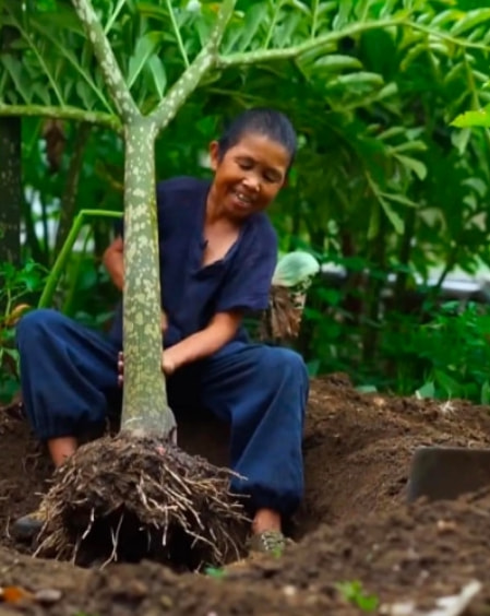 康仔身家,康仔有多少资产