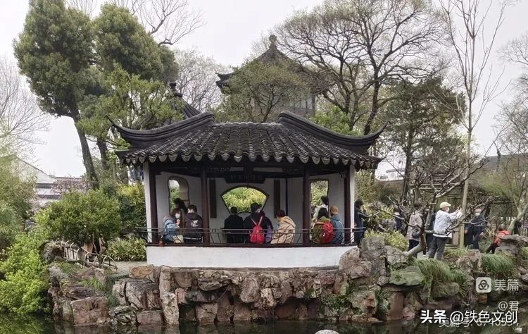 苏州游记之拙政园,苏州拙政园一日游攻略图片