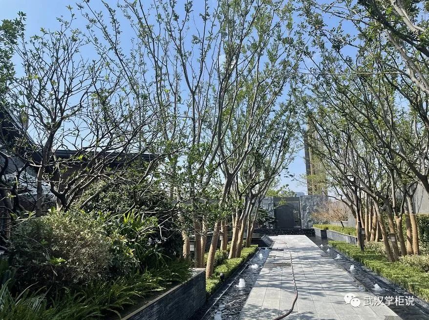 实探准现房,实探现房改善楼盘