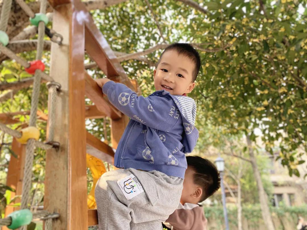 能干的小手——诺亚舟海宁市庆安幼儿园小二班