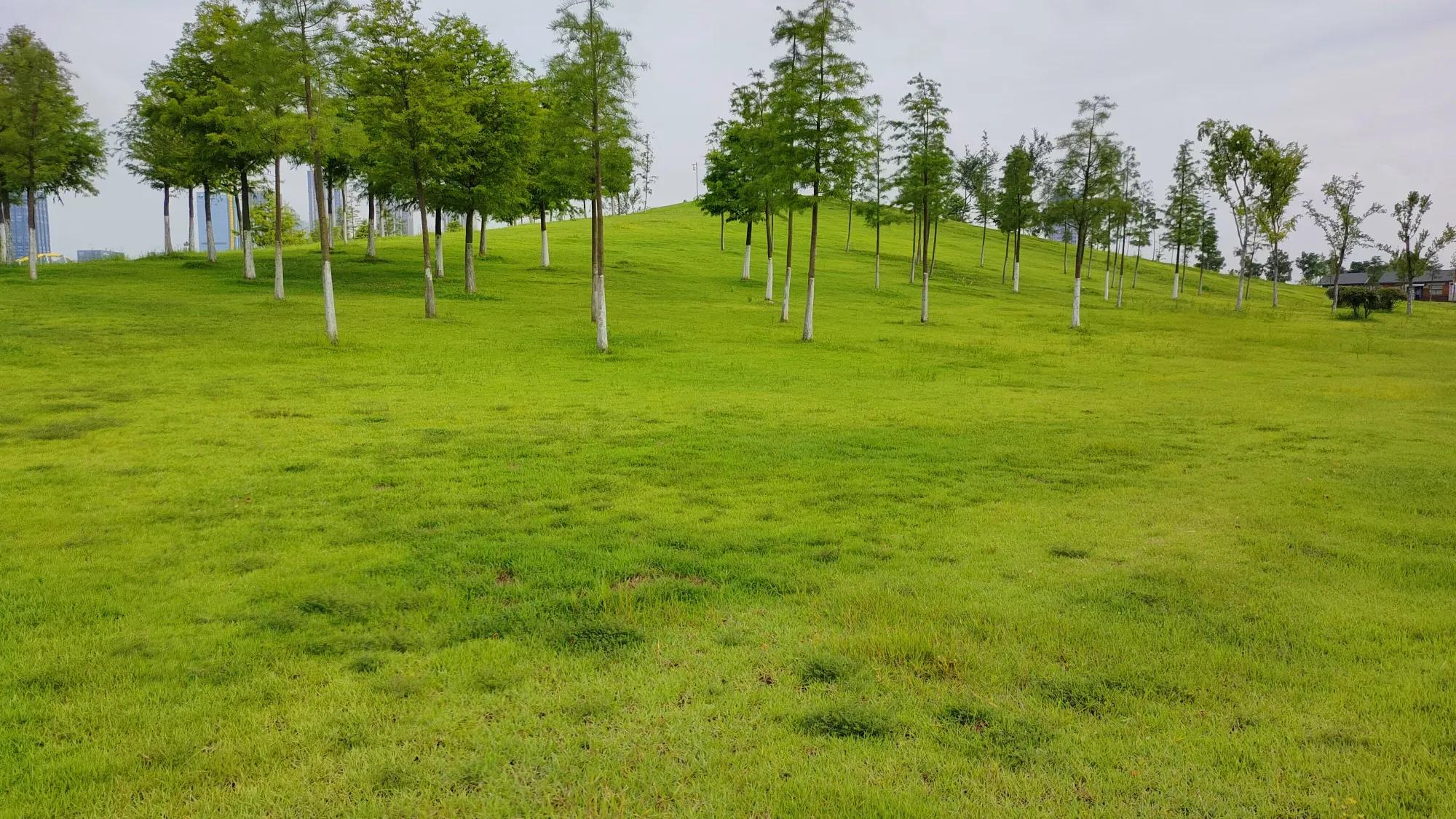 合肥旅游景点大全排名榜前十名,合肥市区旅游攻略必玩的景点