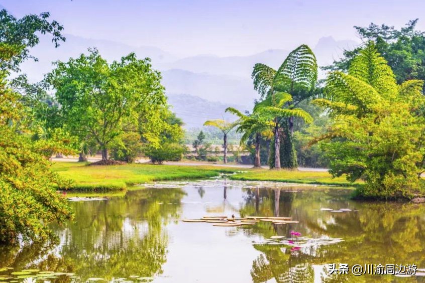 云南最适合旅游的城市排名前十,云南旅游值得去的城市排名