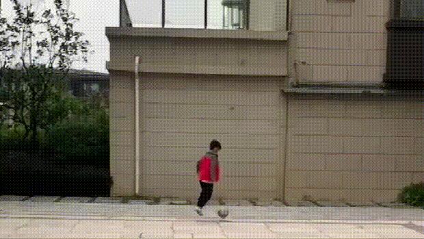 π·抗疫丨观山溯溪龙吟乌啼守得云开见南明