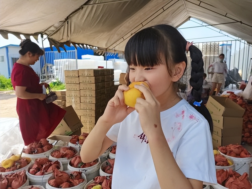 宝鸡凤翔南指挥镇：“小黄桃”敲开致富门