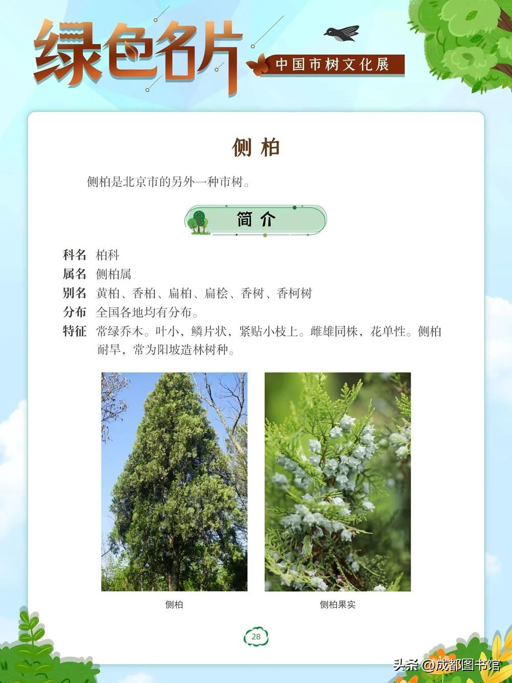 数字文化资源宣传,数字文化资源