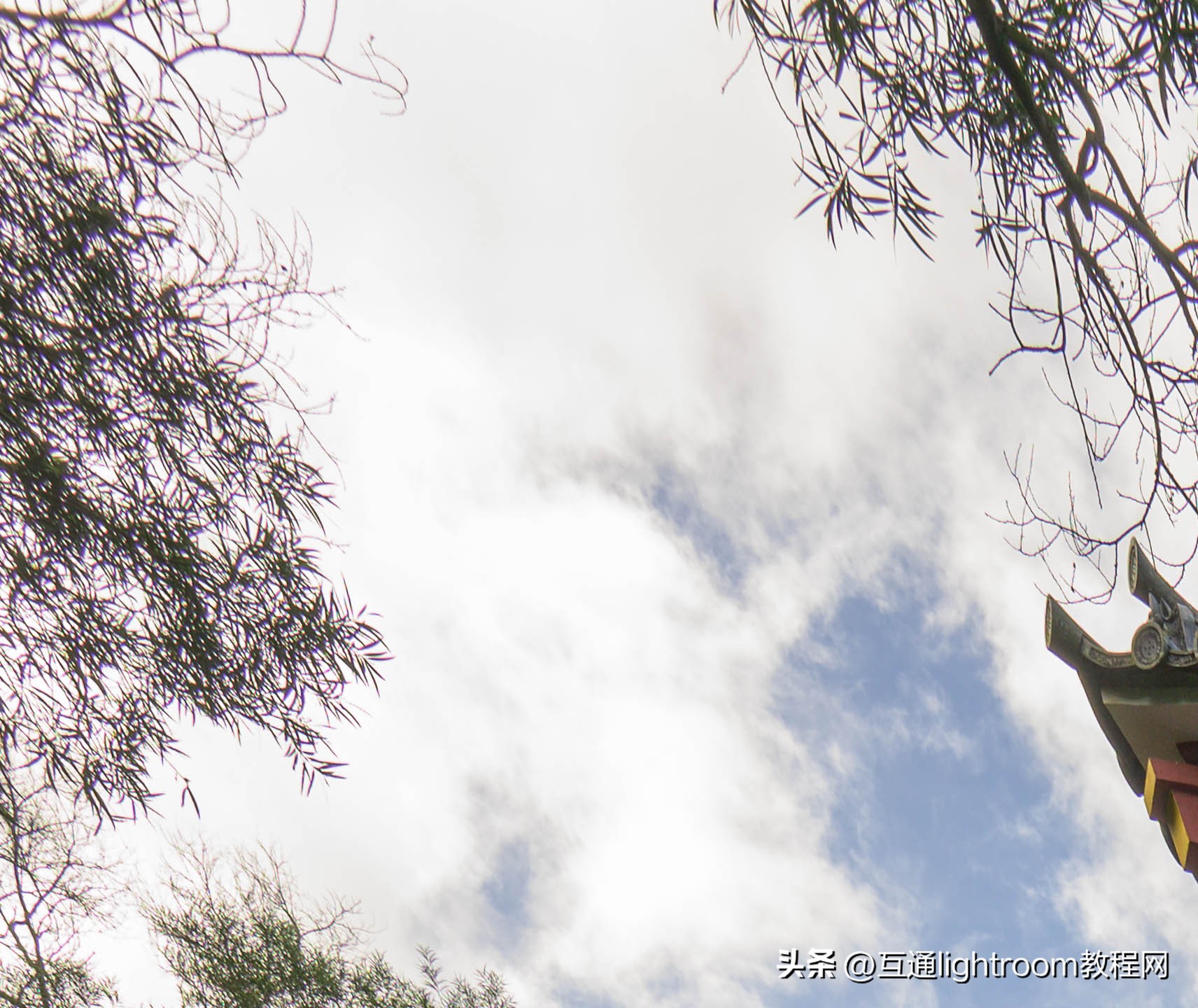 怎样去掉摄影中的紫边,拍摄人像紫边怎么回事