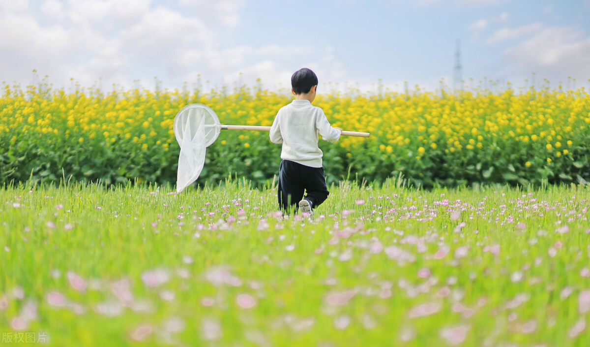 三观教育对孩子的影响,孩子的三观教育一定要在12岁前做