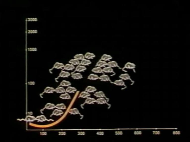8只白鼠繁衍实验,美国8只老鼠的实验