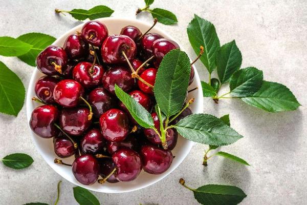 怀孕期间吃哪四种食物对胎儿好,怀孕期间吃什么对胎儿有营养