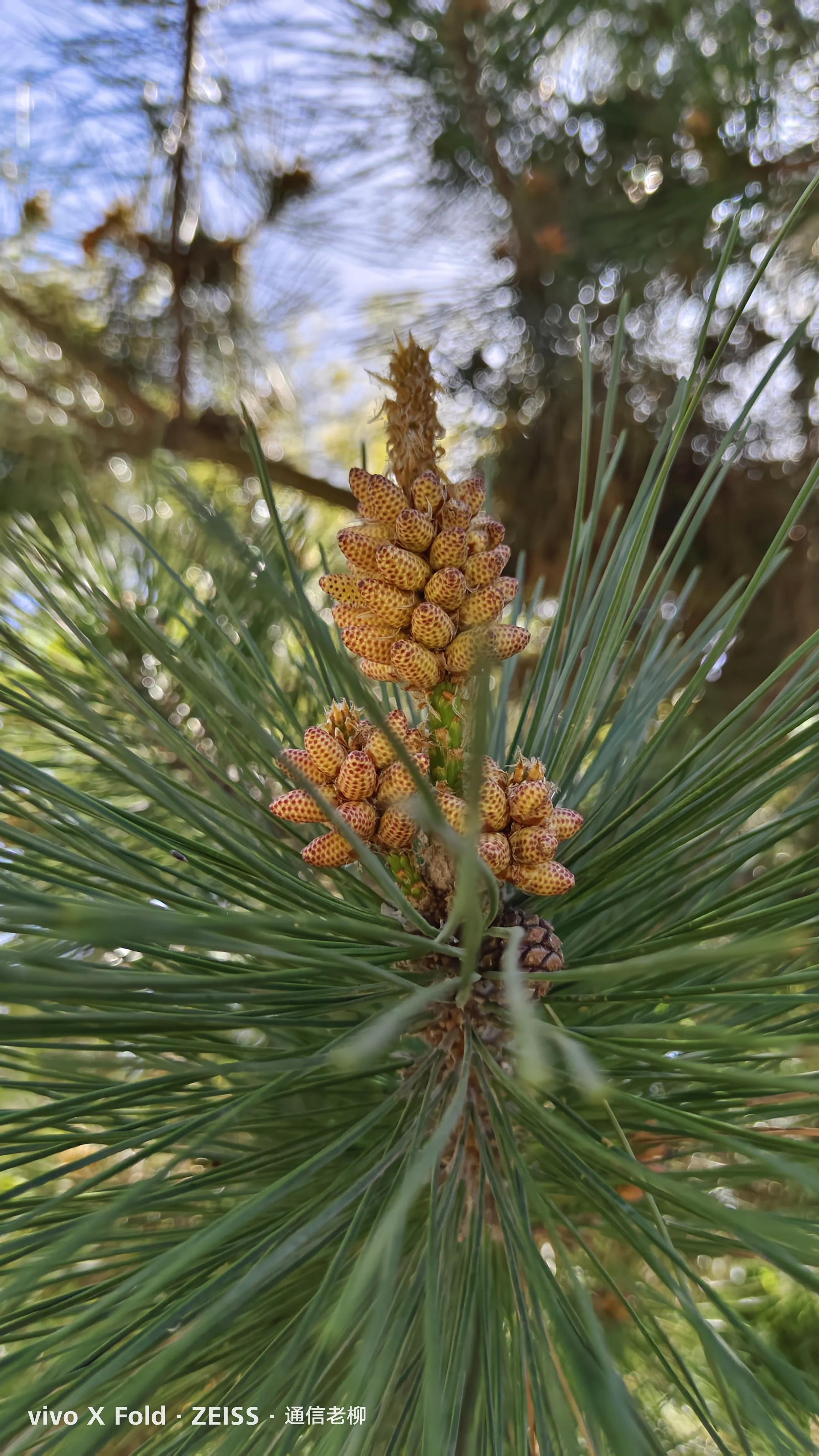 vivoxfold折叠屏手机怎么样,vivoxfold折叠屏手机值得入手吗