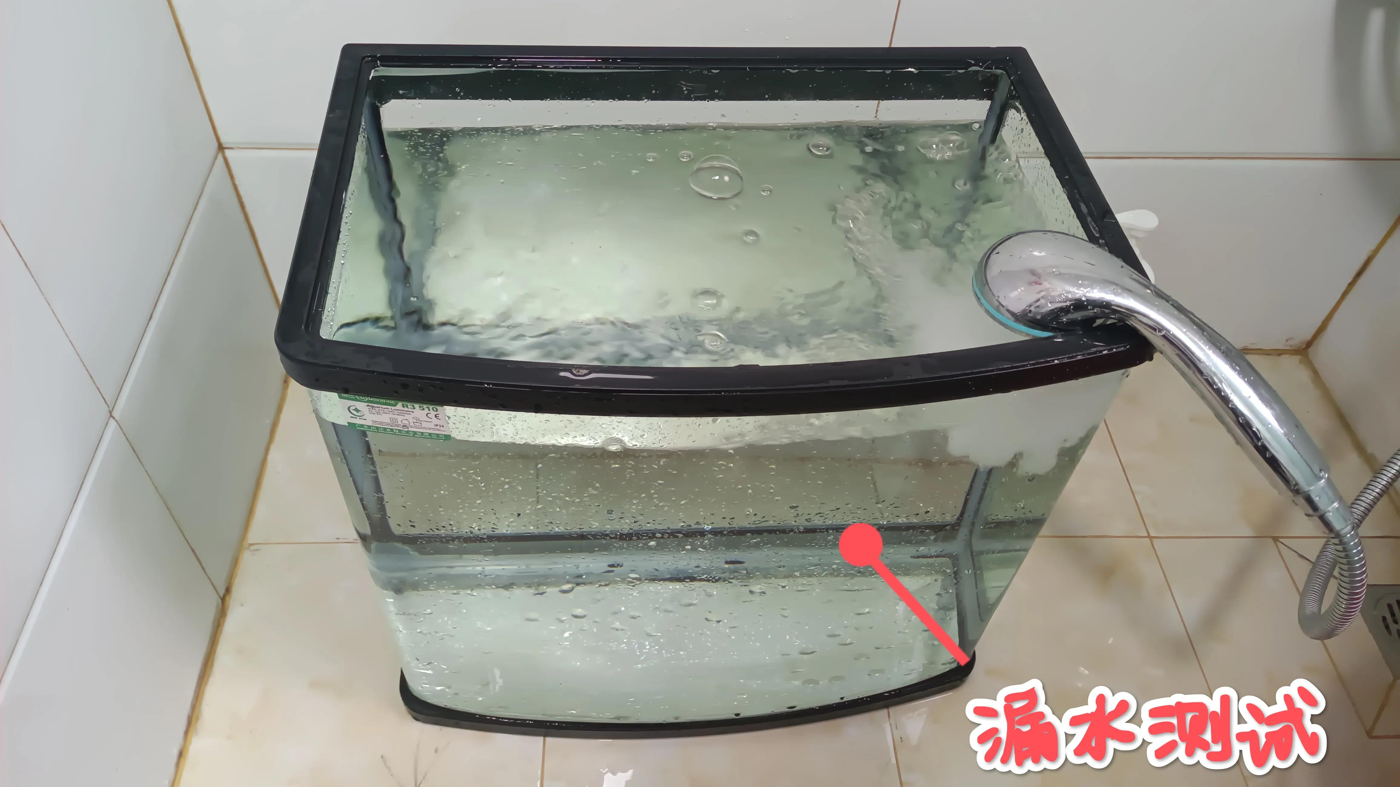 闽江溪流鱼缸,溪流缸自制鱼缸全部过程