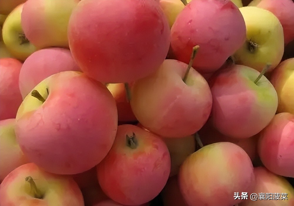 湖北襄阳的花红,襄阳花红